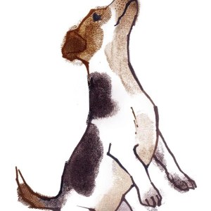 LPA0113 A Sprout dog PLGX PLWPC