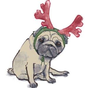 LPA0114 Xmas pug Y PLG?