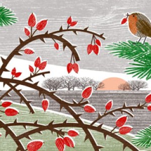 LPA0142 A Robin in landscape PLGX Y