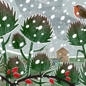 LPA0143 A Winter allotment PLGEXUKNXWW Y