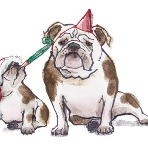 LPA0162 B Xmasbulldogs PLGX Y