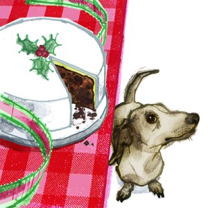 LPA0165 Dachshund and table PLGX Y