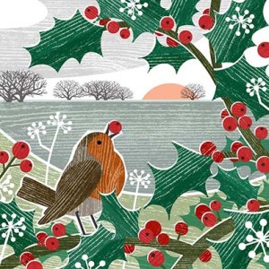 LPA0170 D Berry Robin PLTIN PLGUK