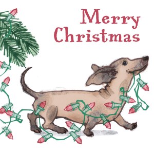 LPA0171 Christmas Dachshund PLGX PLMOB