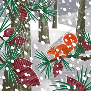 LPA0172 SnowSquirrel PLG PLTIN PLCAL Y