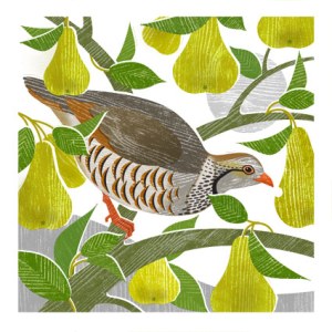 LPA0220B Partridge hi res