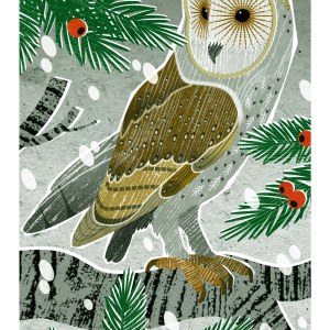 LPA0247 Winter Owl TFHRA