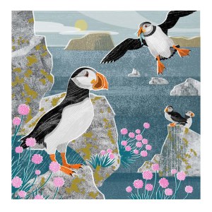 Liane Payne LPA0244 Puffins 02 PLGUK