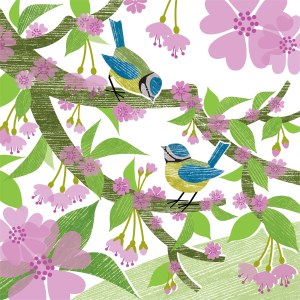 LPA0135Blue tits and blossom PLGUK PLMOB