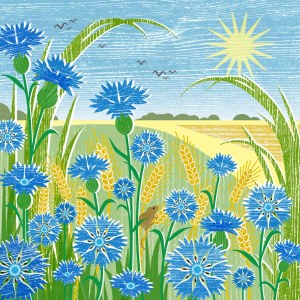 LPA0154 Cornflowers PLGUK PLMOB