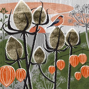 LPA0159 Bullfinch & teazles TFHRA toosimilar PLMOB