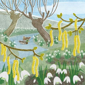 LPA0205 Snowdrop stream FRMGML