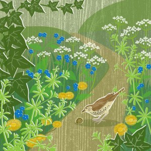 LPA0206 Spring weeds & thrush FRMGPLMOB