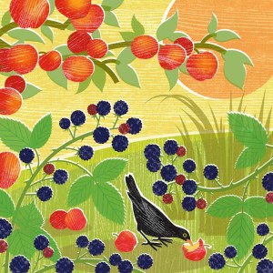 LPA0210 Blackberry blackbird PLMOB PLGEXUSA