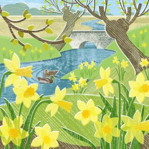 LPA0213 Daffs & Ducks PLCAL PLMOB