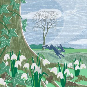 LPA0214 Snowdrop Hare PLCALPLMOB