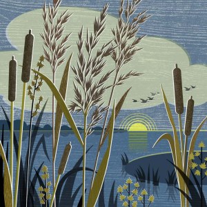 LPA0215 Fenland sunset PLCA PLGUSA PLMOB
