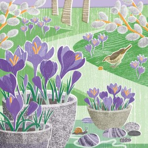 LPA0219 Crocus & Thrush PLGUK PLMOB
