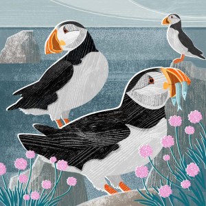 LPA0220 Puffins PLCAL GUKEXWWNEX 12:25TAPS