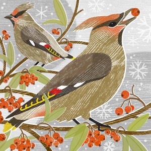 LPA0221 Waxwings PLGWW