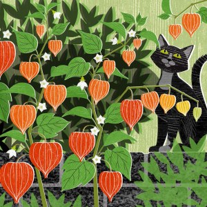 LPA0245 Chinese lanterns & cat TFHRA