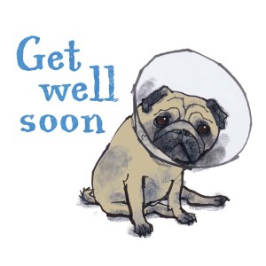 LPA0027 Get well pug