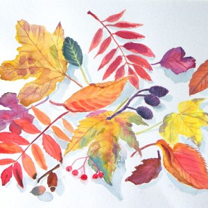 MLS0417leafstudyTFHRA Y