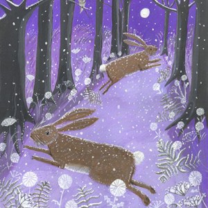 MLS0298 B rabbitsPLG