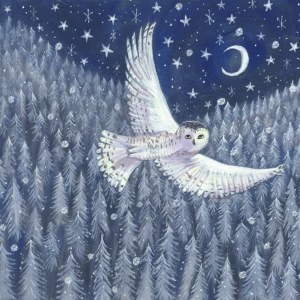 MLS0705snowyforestowl PLWPC