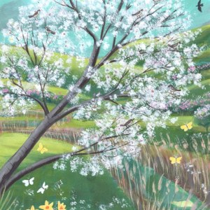 MLS0715springblossomwithstreamTFHRA