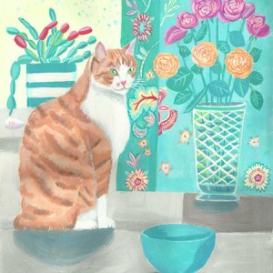 MLS0380catPLPR Y