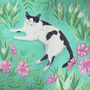 MLS0432catPLPR Y