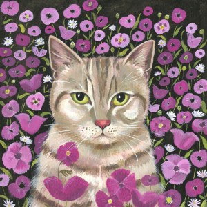 MLS0454poppycatTFHRA