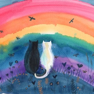 MLS0639rainbowwcTFHRA