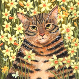 MLS0651tabbywithdaffsTFHRA