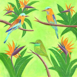 MLS0002 B Beeeaters1 PLPRsimilar Y