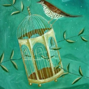 MLS0004birdcagePLGNXUK PLPRWW Y