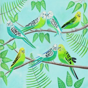 MLS0382 B budgiesPLPRUK Y