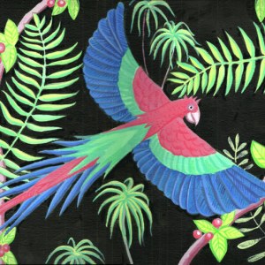 MLS0451macawTFHRA