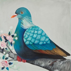 MWD0019 woodpigeon