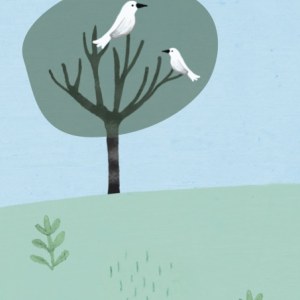 MWD0045 birdsintree