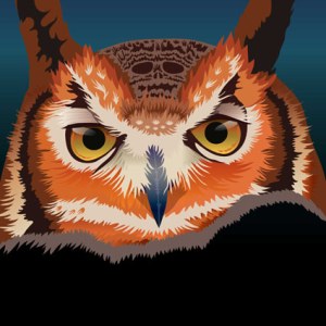 MWD0005 halloweenOWL A2 to print