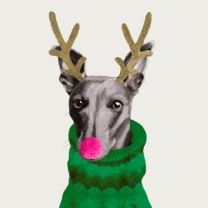 MWD0024 whippet christmas miaunderwood