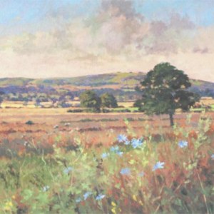 MKC0021 LANDSCAPE