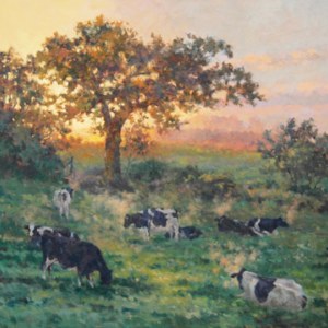 Michael Cruickshank MKC0025 A New Day Dawns YH