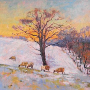 MKC0005 Sheep and Snow