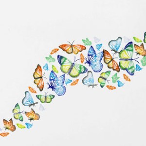 NUS0047 BUTTERFLIES.jpeg