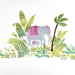 NUS0056 elephants