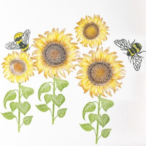NUS0072 sunflower rubber
