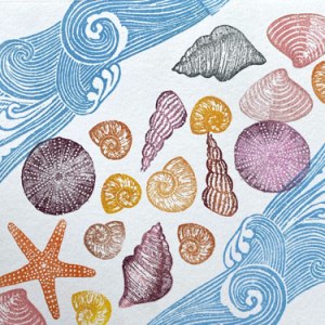 NUS0090 sea shells and waves